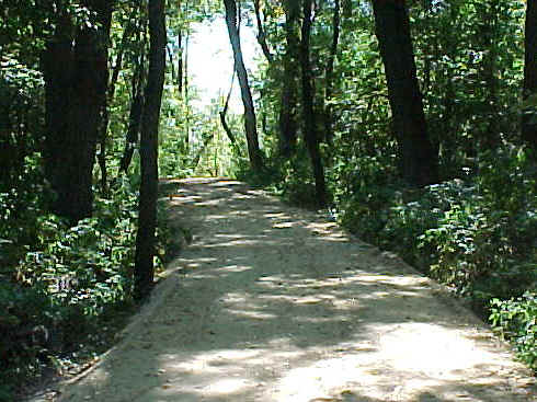 MVC-075S.JPG (67649 bytes)
