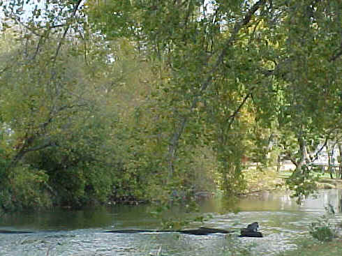 MVC-151S.JPG (57413 bytes)