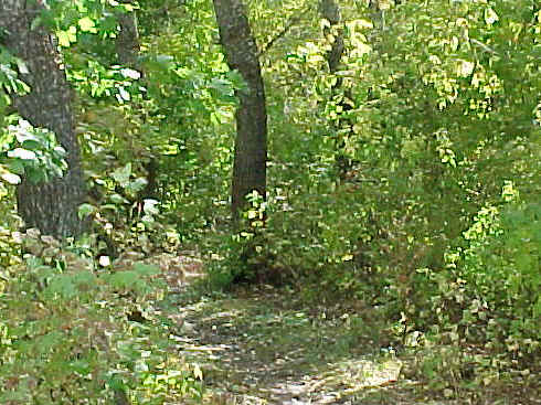 MVC-153S.JPG (82000 bytes)