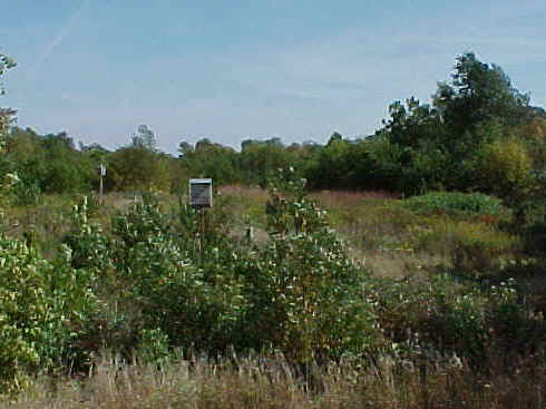 Prairie.JPG (40612 bytes)
